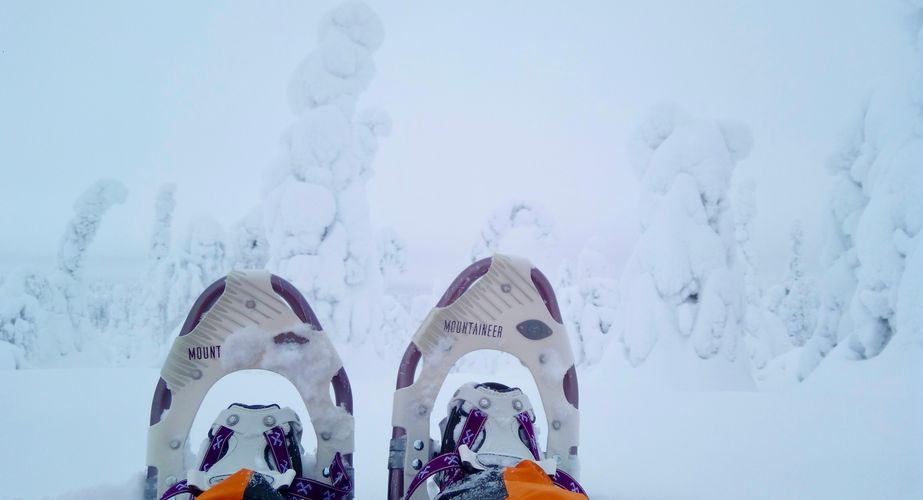 Sneeuwschoenwandelen met de groep